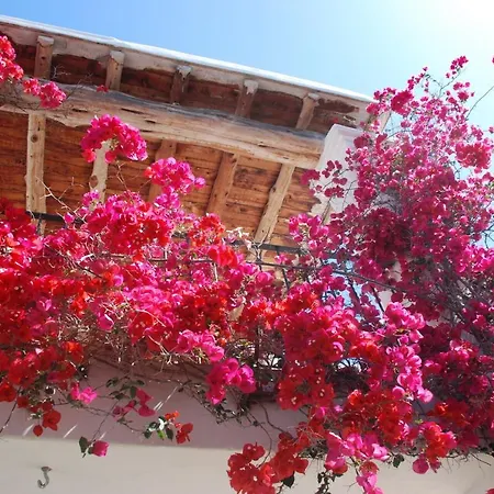 Villa Rent This Luxury With Private Pool, Ibiza 1059 Santa Eularia des Riu